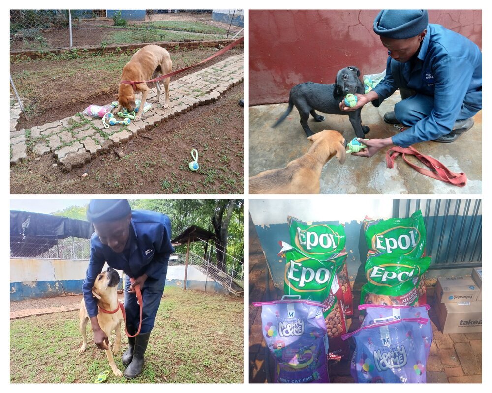 SPCA Mahikeng